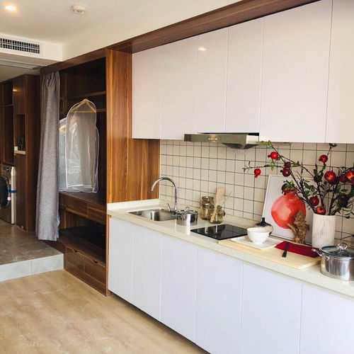 国贸商圈,可做饭,可短租,可月付,无中介费 地...