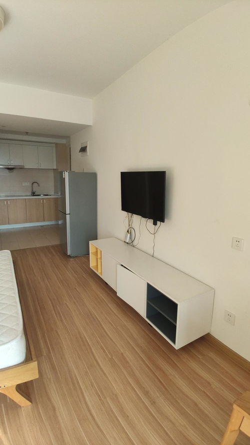 江干区 闸弄口地铁站400米 精品公寓 可短租可月付...