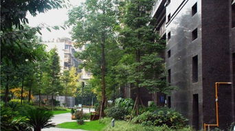 成都专蜀精品短租公寓预订