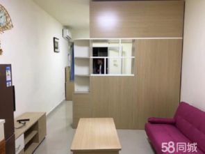 中南菜市场旁 精装单身公寓 可短租 拎包入住