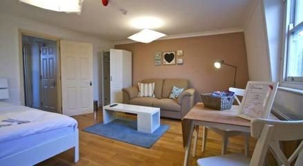 自有品牌公寓将成中国民宿趋势？——从蚂蚁短租成立“有家民宿”谈起