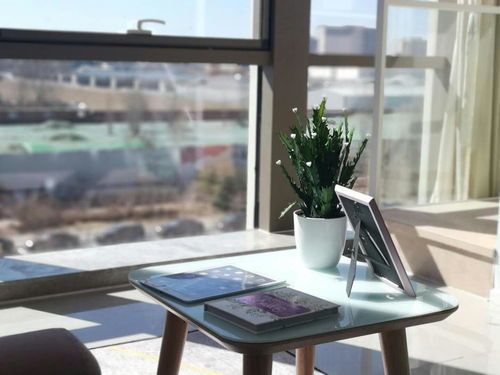 整租 可短租 精品公寓 拎包入住