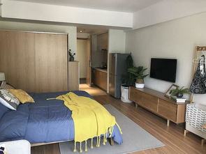 闸弄口地铁边上公寓出租押一付一可短租